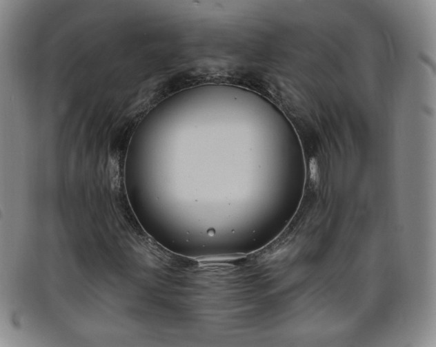X0000098131203200804241641