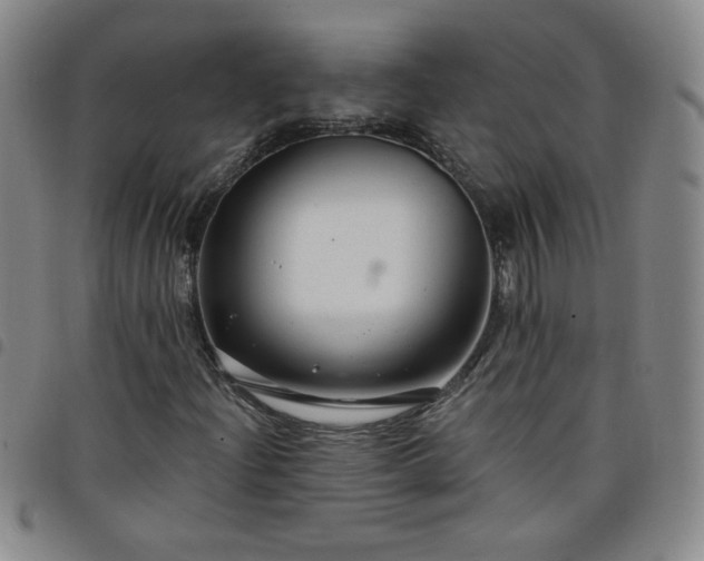 X0000098131204200804241641