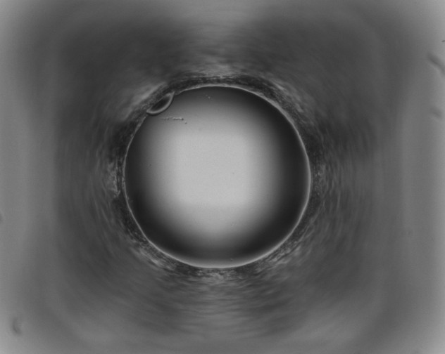 X0000098131205200804241641
