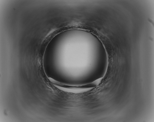 X0000098131206200804241641