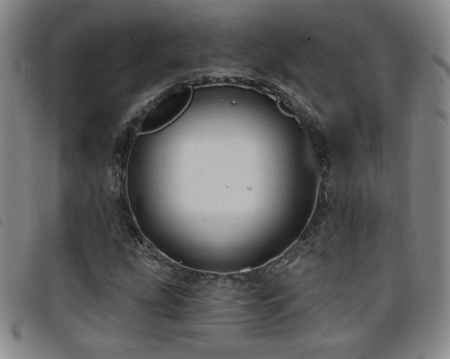 X0000098131207200804241641