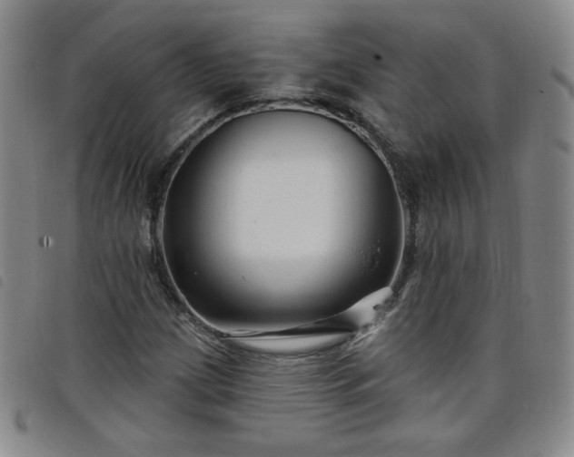 X0000098131209200804241641