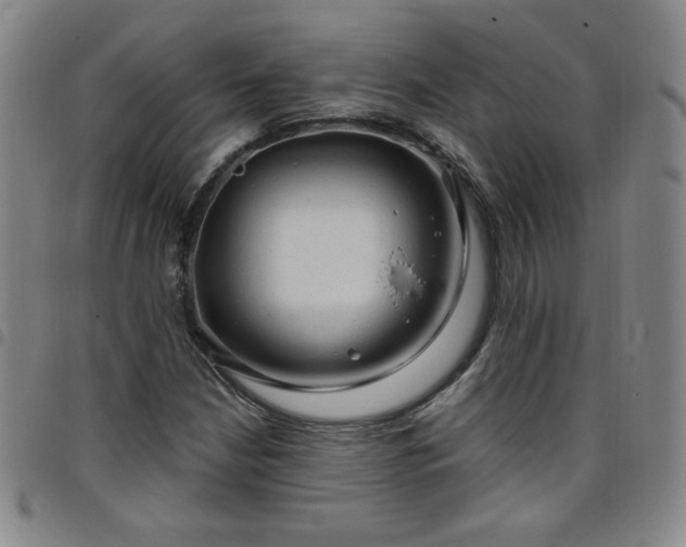 X0000098131210200804241641
