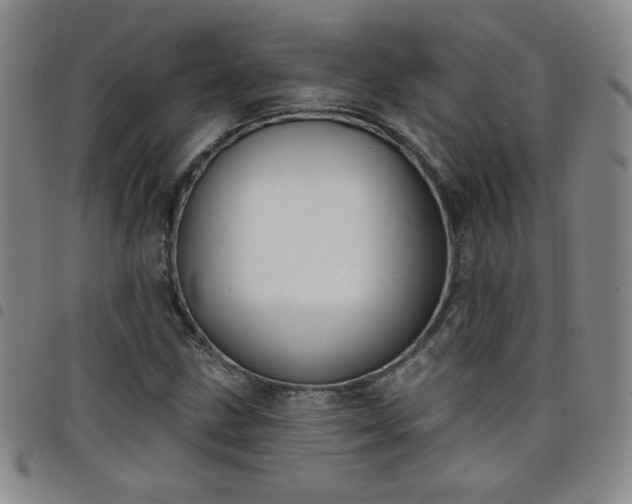 X0000098131211200804241641