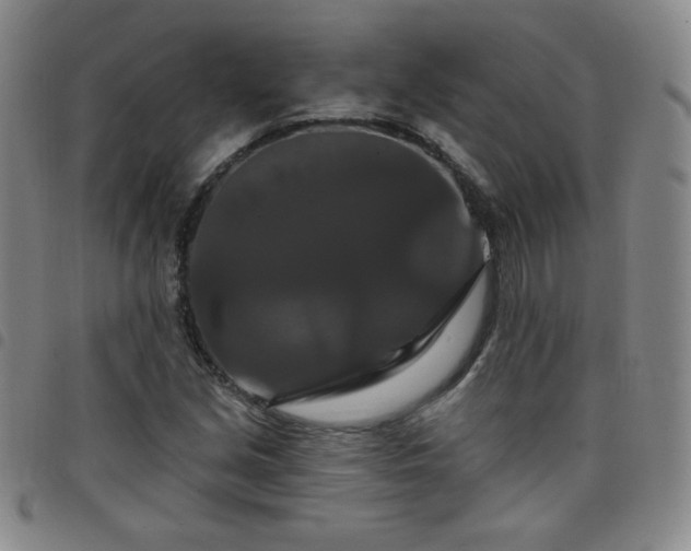 X0000098131213200804241641