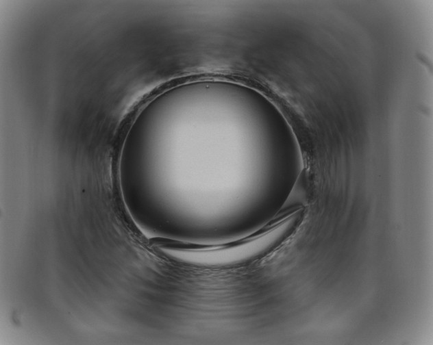 X0000098131214200804241641