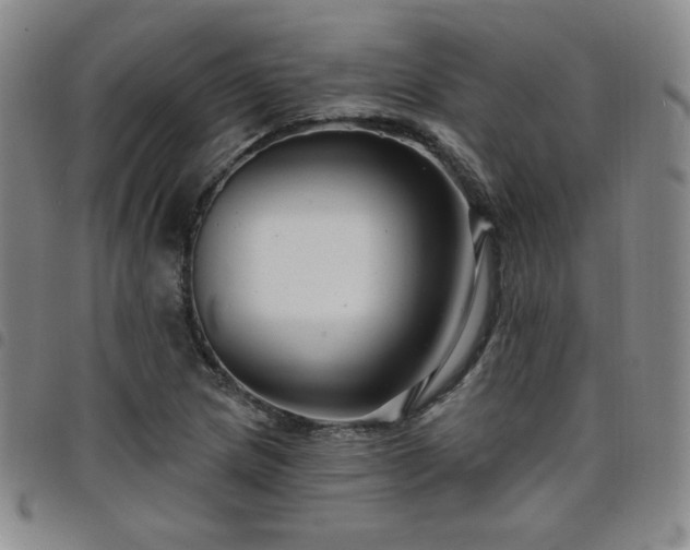 X0000098131217200804241641