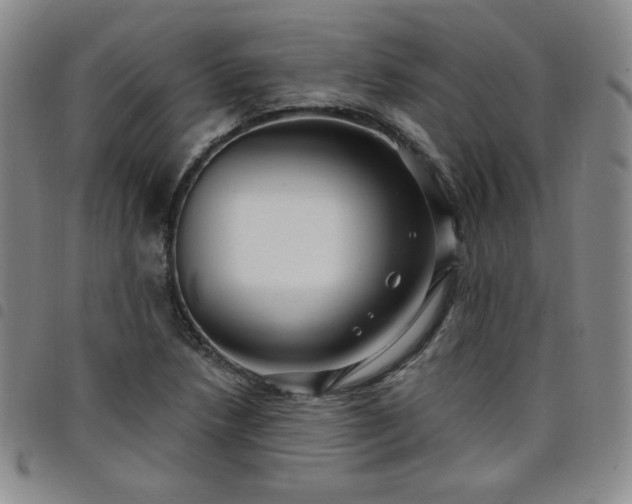 X0000098131218200804241641