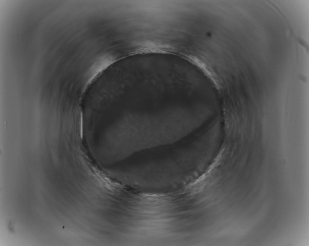 X0000098131219200804241641