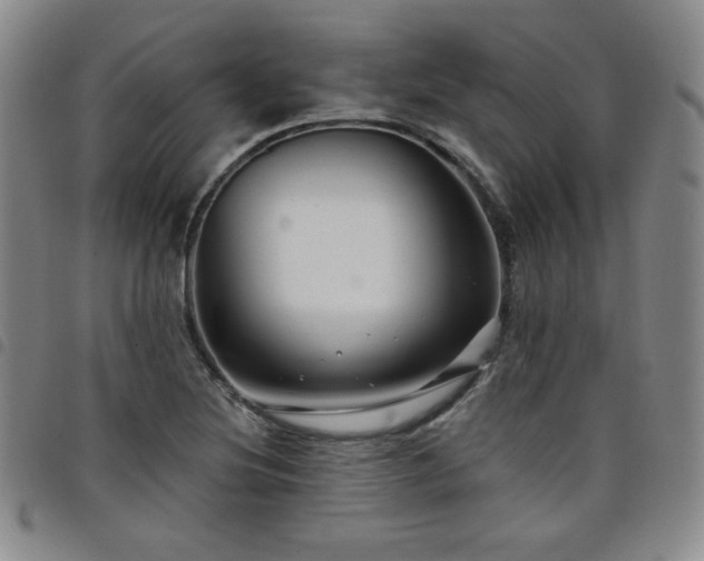 X0000098131220200804241641
