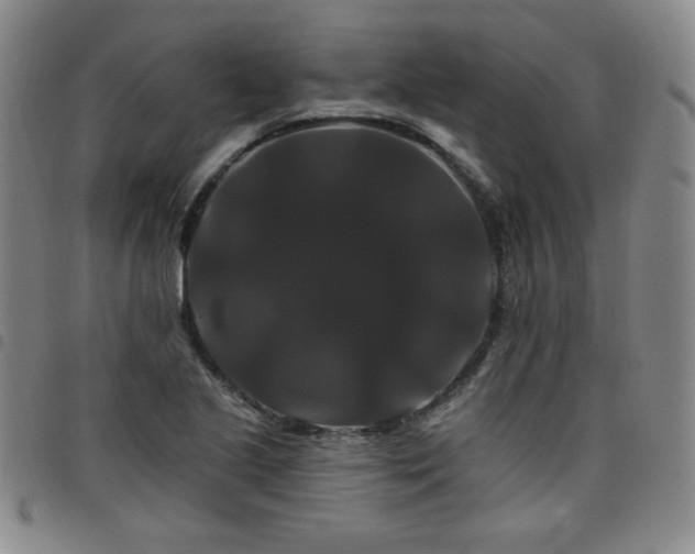 X0000098131221200804241641