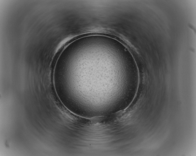 X0000098131222200804241641
