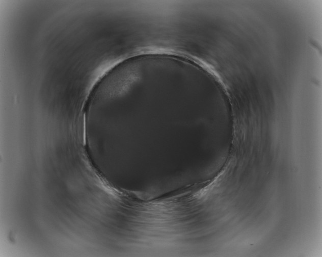 X0000098131223200804241641