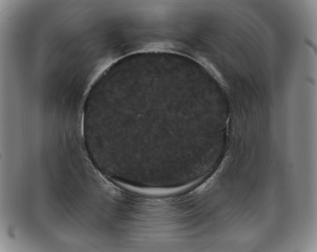 X0000098131224200804241641