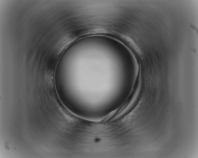 X0000098131225200804241641