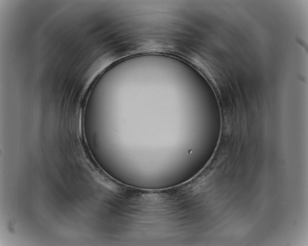 X0000098131227200804241641