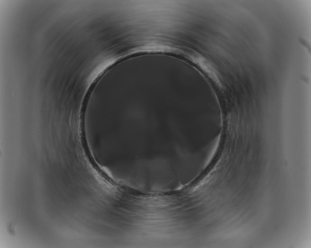 X0000098131229200804241641