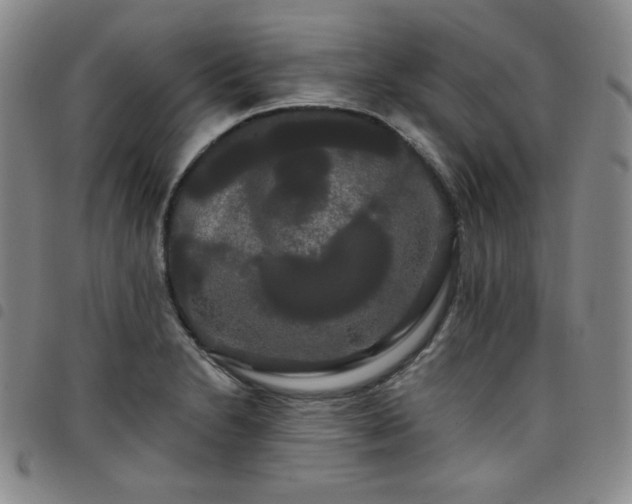 X0000098131230200804241642