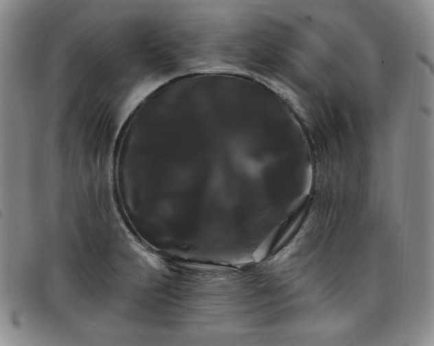 X0000098131231200804241642