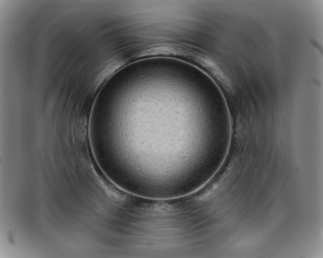 X0000098131233200804241642