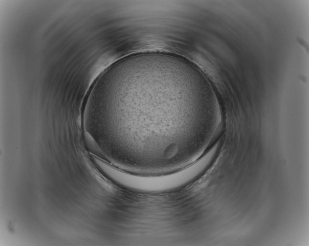 X0000098131234200804241642