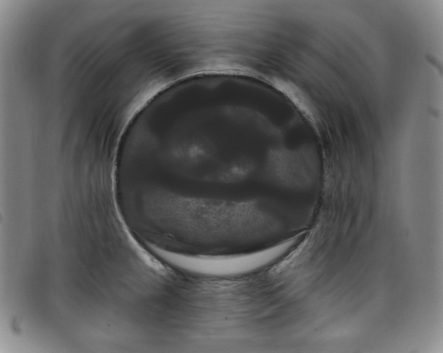 X0000098131237200804241642