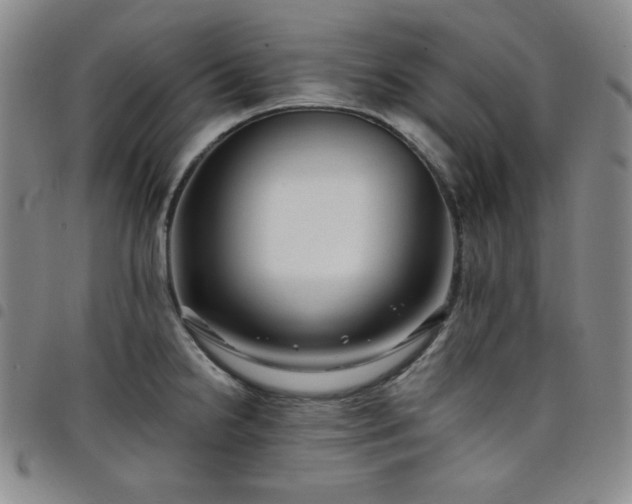 X0000098131238200804241642