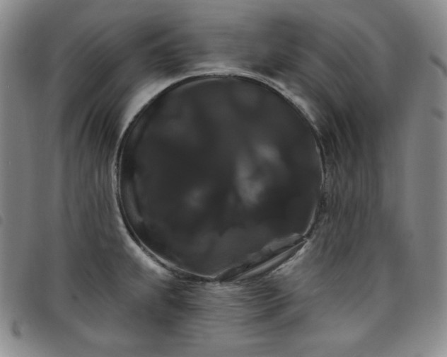 X0000098131239200804241642