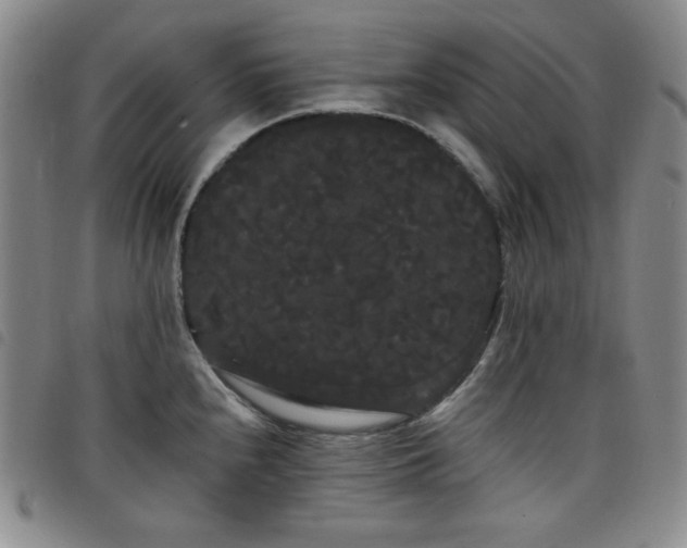 X0000098131240200804241642