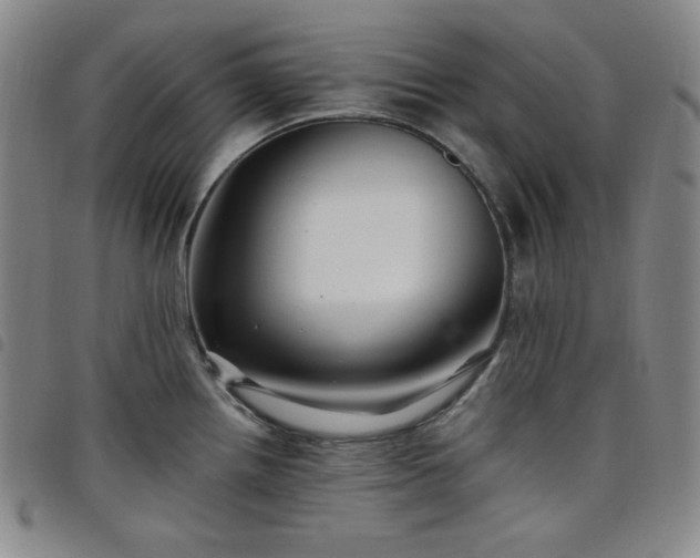 X0000098131242200804241642