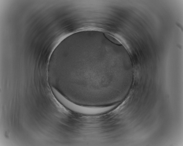 X0000098131244200804241642