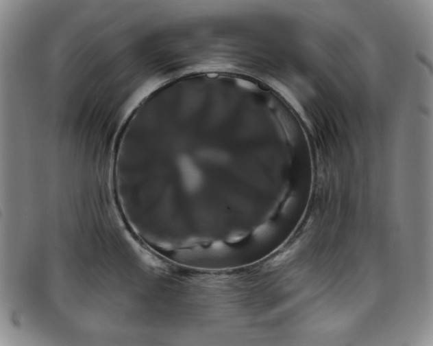 X0000098131245200804241642