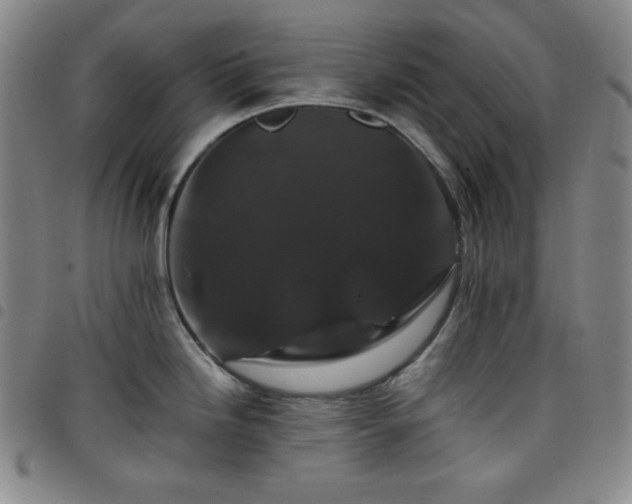 X0000098131246200804241642
