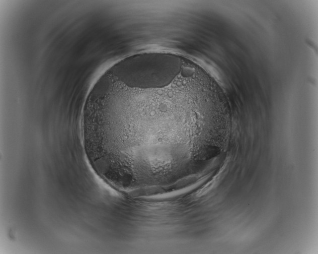X0000098131247200804241642