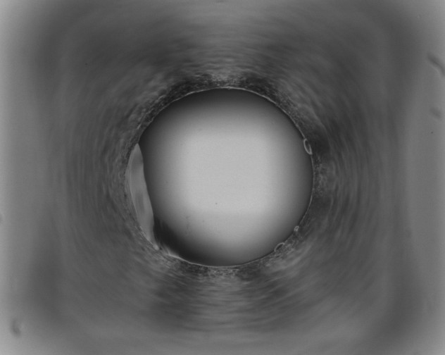 X0000098131249200804241641