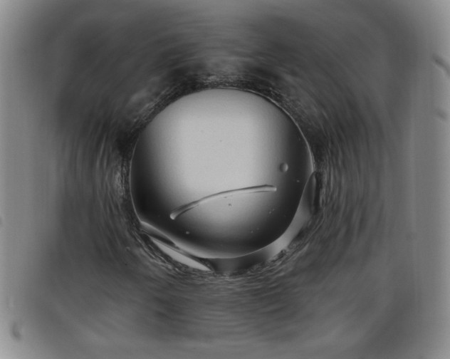 X0000098131250200804241641