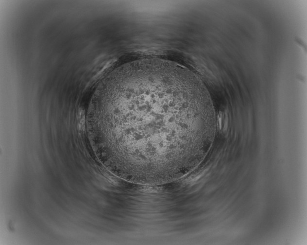 X0000098131251200804241641