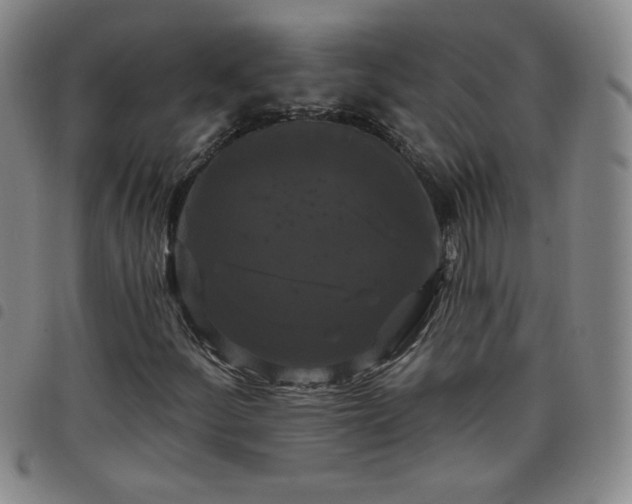 X0000098131252200804241641