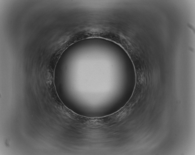 X0000098131253200804241641