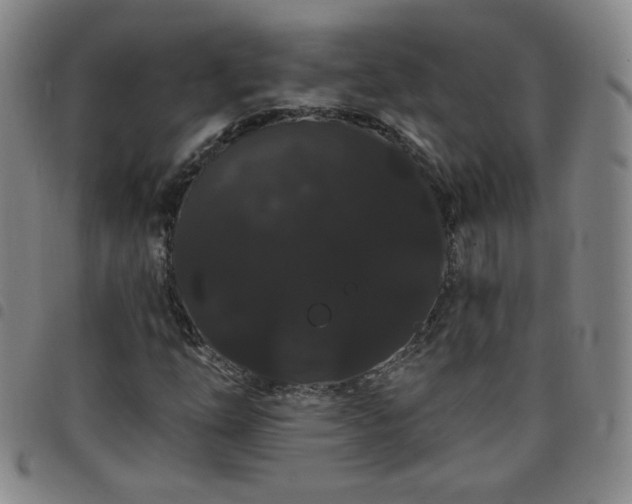 X0000098131254200804241641