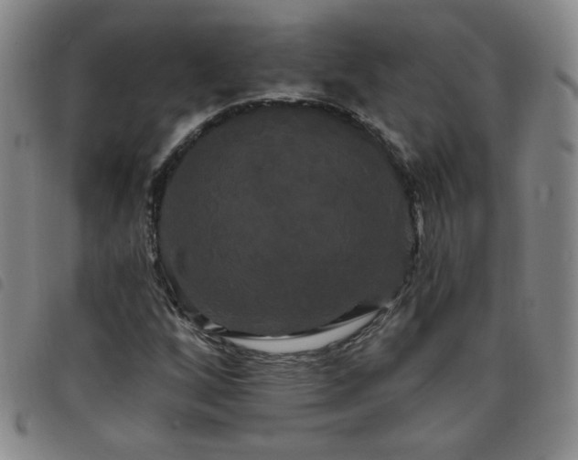 X0000098131256200804241641