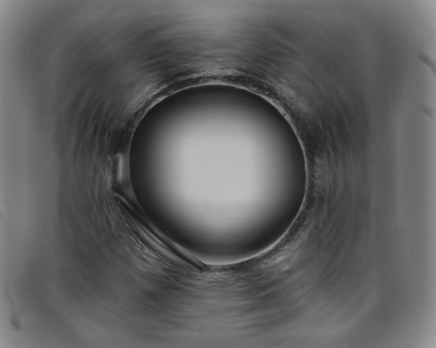 X0000098131257200804241641