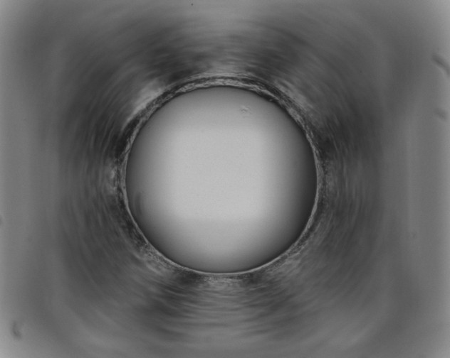 X0000098131258200804241641