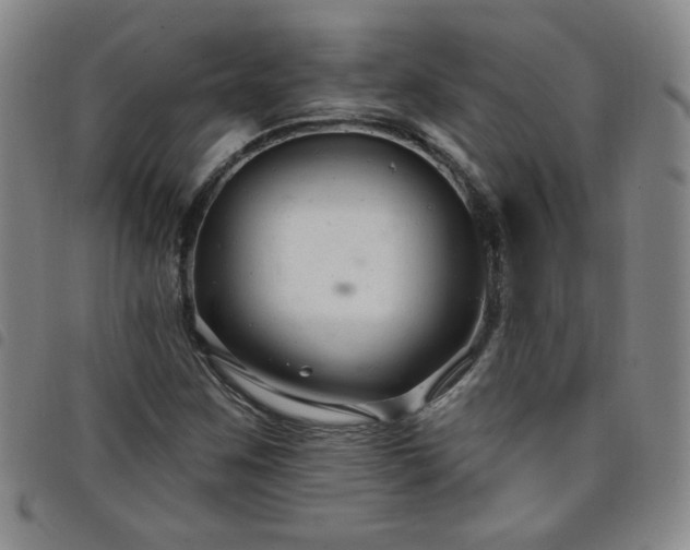 X0000098131259200804241641
