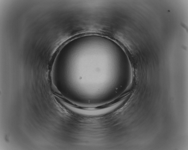 X0000098131260200804241641