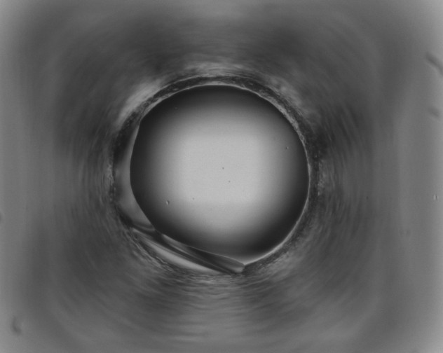 X0000098131261200804241641