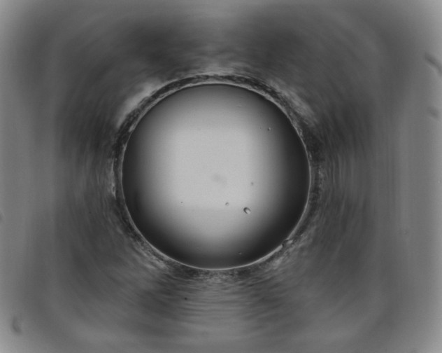X0000098131262200804241641