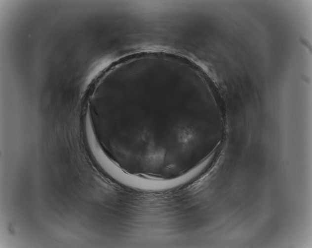 X0000098131263200804241641