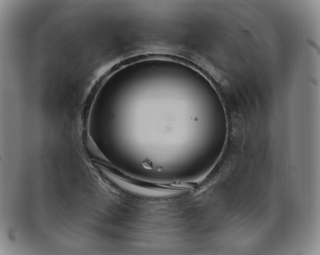 X0000098131264200804241641