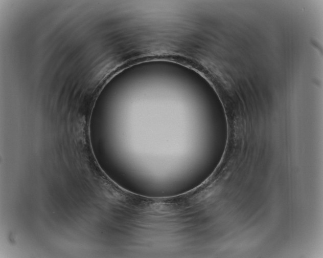 X0000098131265200804241641
